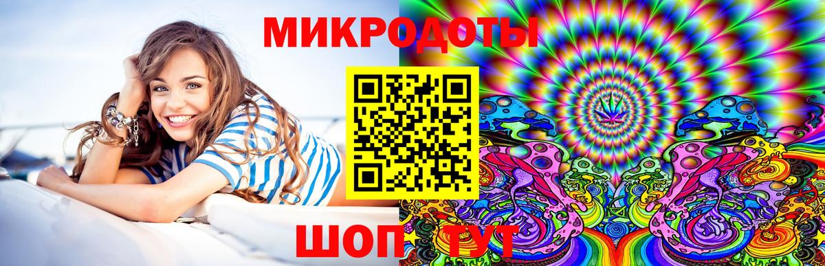 Псилоцибиновые грибы Cubensis Новокуйбышевск