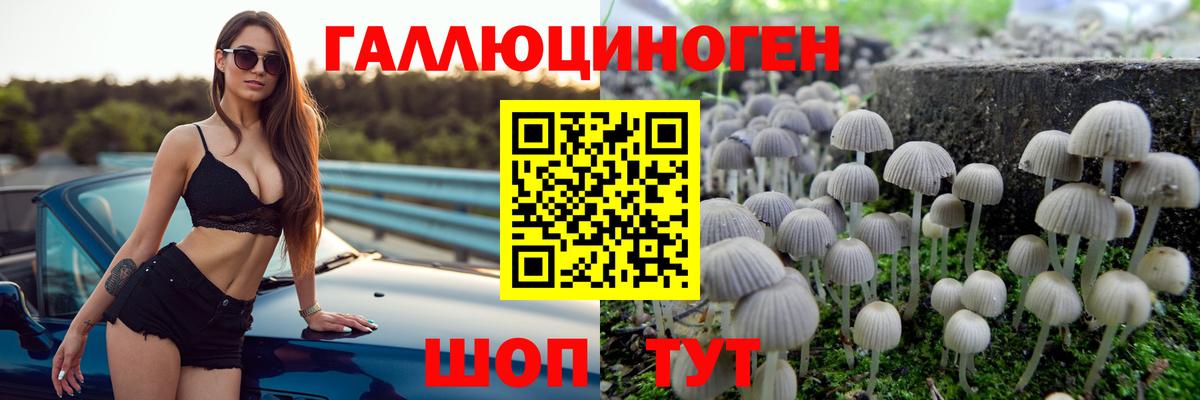 Псилоцибиновые грибы MAGIC MUSHROOMS  Вход с VPN  Новокуйбышевск 